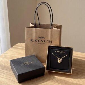 Coach 金色鎖頭吊墜項鏈